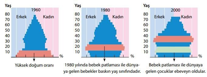 ABD’nin 1960, 1980 ve 2000 Yıllarına Ait Yaş Piramitleri