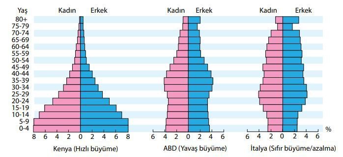 Kenya, ABD ve İtalya’ya Ait Yaş Piramitleri