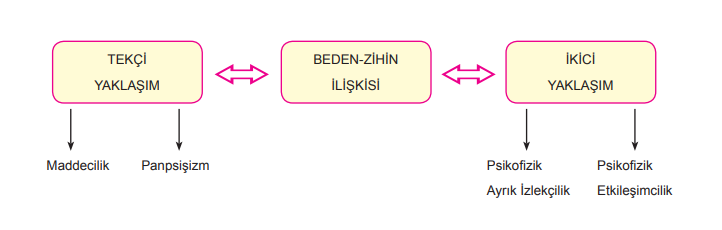 Psikolojik Süreçler ve Biyolojik Yapı şeması