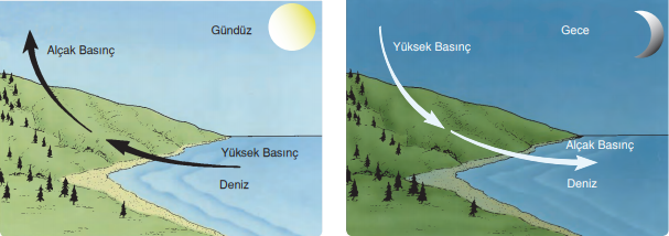 Deniz meltemi (gündüz) ve Kara meltemi (gece)