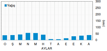 Kayseri’de yağışın aylara göre dağılımı