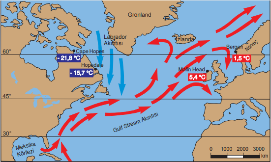 Okyanus akıntılarının sıcaklığa etkisi