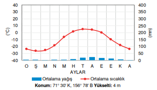 Tundra iklimi (Barrow - ABD)