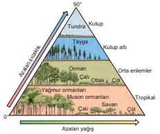 Yağış ve sıcaklığa göre bitki örtüsü kuşakları