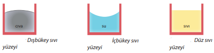 kuvvetine eşitse sıvı yüzeyi