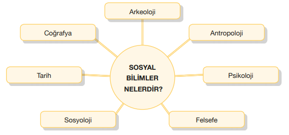 Sosyal Bilimler Nelerdir