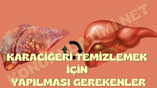 Karaciğeri Temizlemek İçin Yapılması Gerekenler