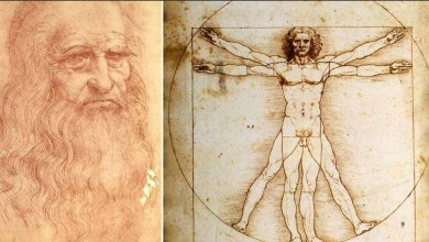 Vitruvius Adamı Nedir