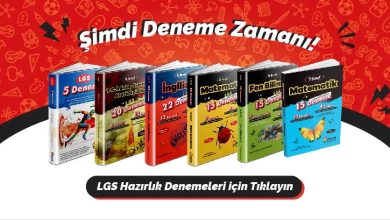 En iyi LGS Hazırlık Kitapları