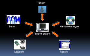 Yönetim Bilişim Sistemleri